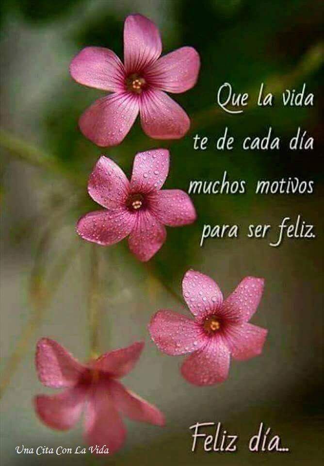 mensaje-buenos-dias