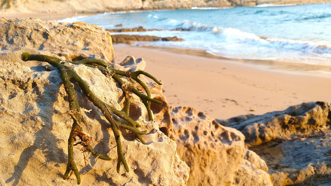 playas